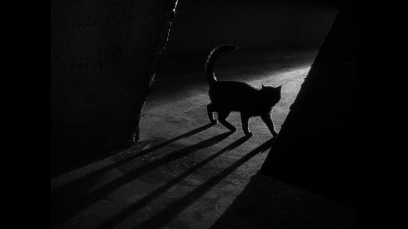 Simon’s Silver Screenings: The Black Cat
